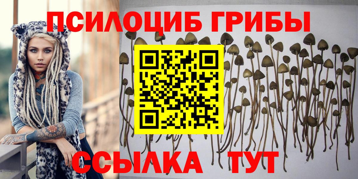 Псилоцибиновые грибы GOLDEN TEACHER  Вход с VPN  Псилоцибиновые грибы ЛСД  Котельники 